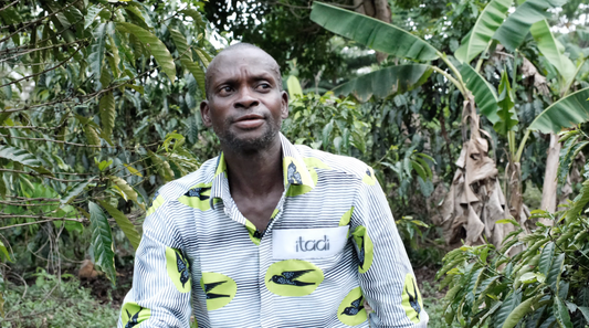 A Day in the Life of a Togolese Coffee Farmer: The Dedication Behind Your Cup