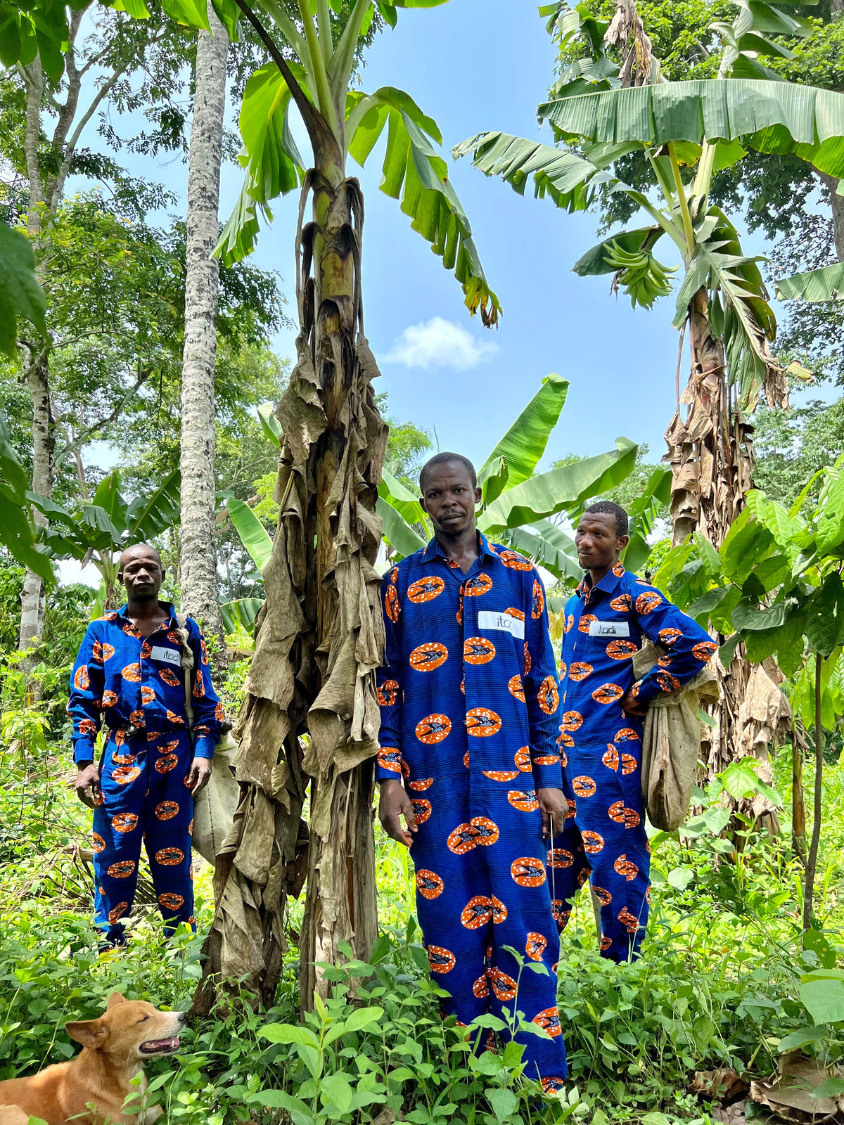 From Our Hands to Your Cup: The Ethical Journey of Itadi Coffee – Fair Trade &amp; Sustainable