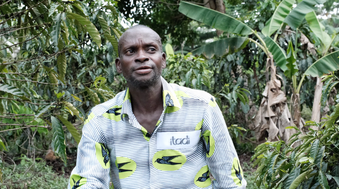 A Day in the Life of a Togolese Coffee Farmer: The Dedication Behind Your Cup