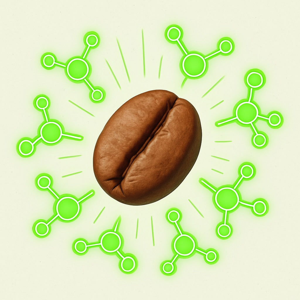 Coffee and Antioxidants: The Health Power of Chlorogenic Acids