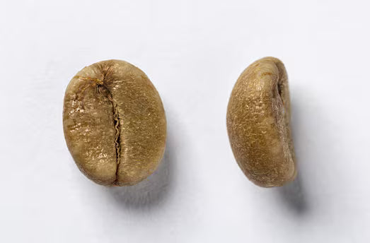 Beyond Arabica: Why Itadi Coffee's Single Origin Robusta is a Game Changer